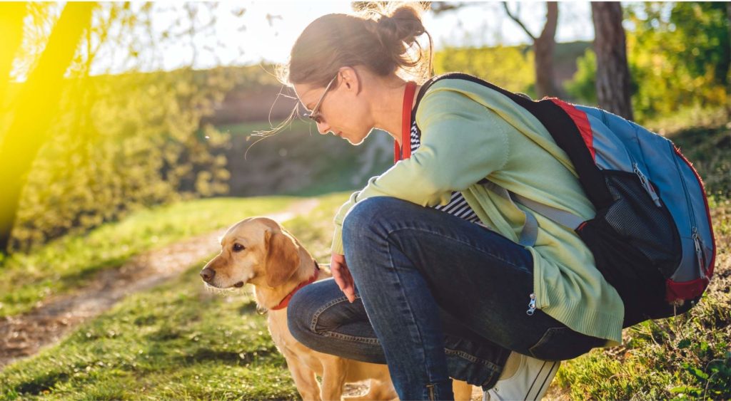 travel-nurse-dogs